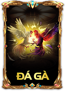 Đá gà luck8.